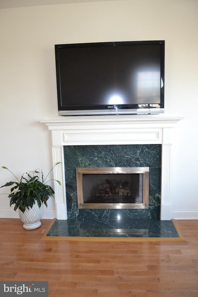 room details with a high end fireplace, baseboards, and wood finished floors