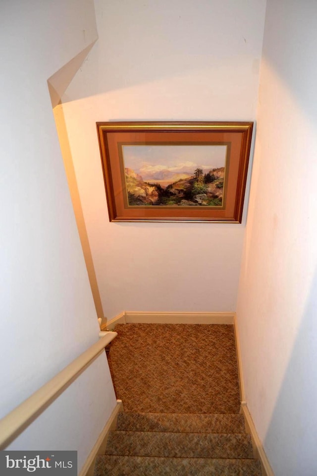staircase featuring baseboards and carpet