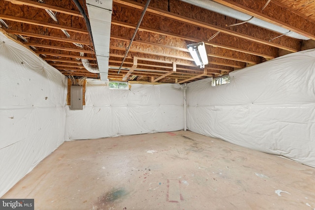 basement featuring electric panel