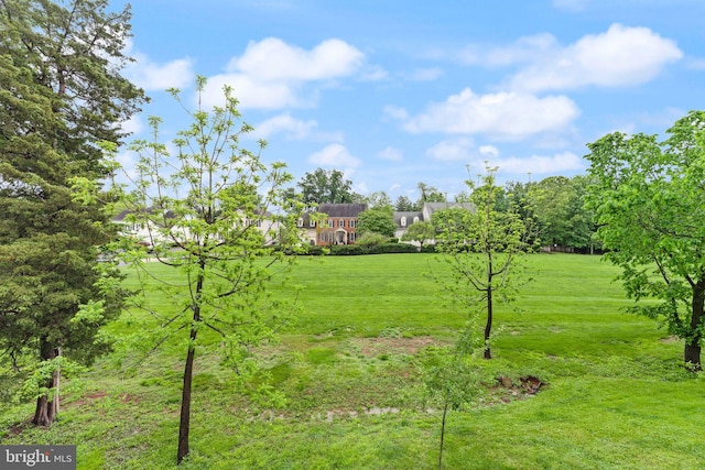 view of green lawn