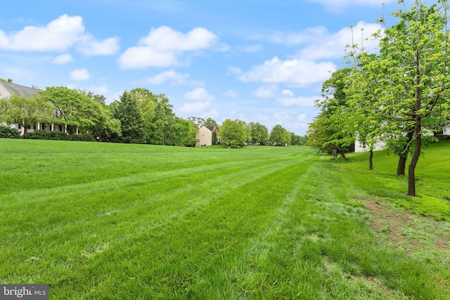 view of green lawn