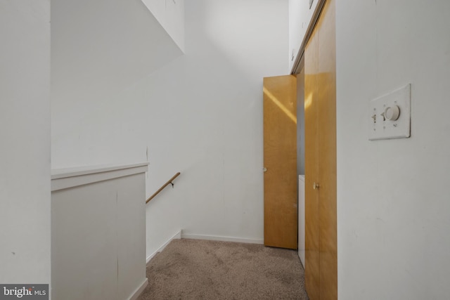 spacious closet featuring carpet flooring