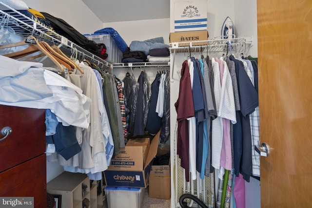 spacious closet with carpet flooring