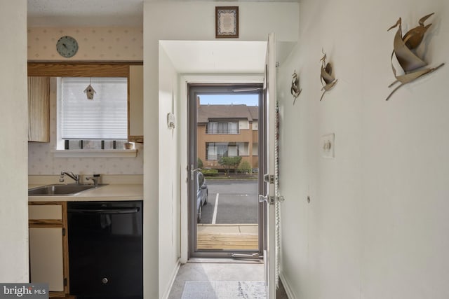 entryway featuring baseboards and a sink