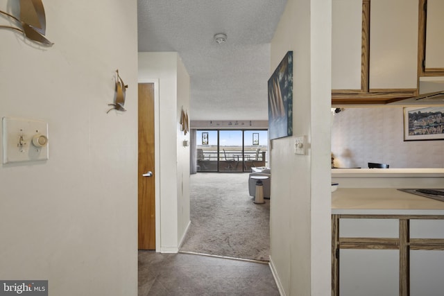 hallway with carpet floors and a textured ceiling