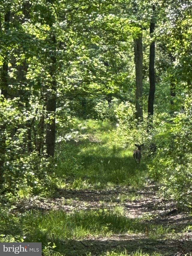 Marblehead Rd, Ridgely, MD 21660
