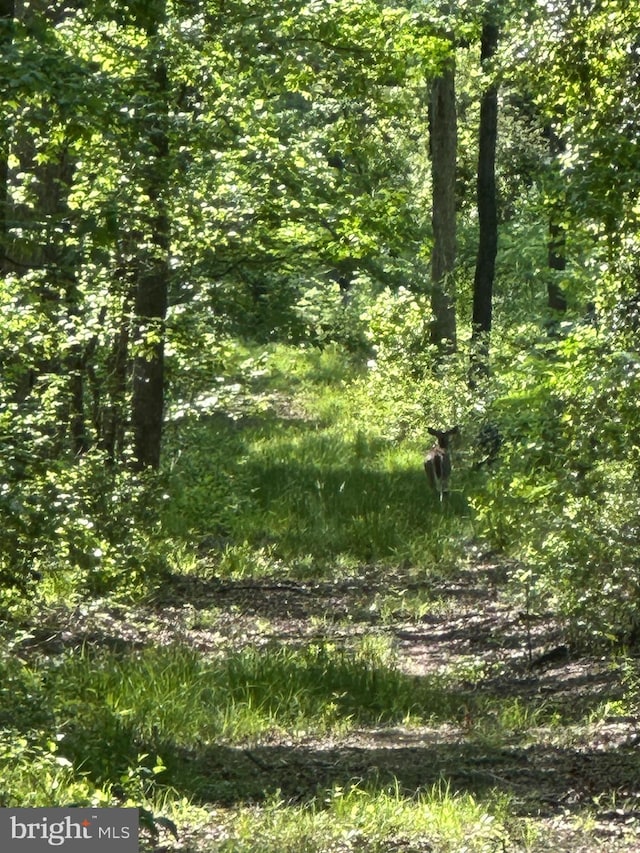 Marblehead Rd, Ridgely, MD 21660