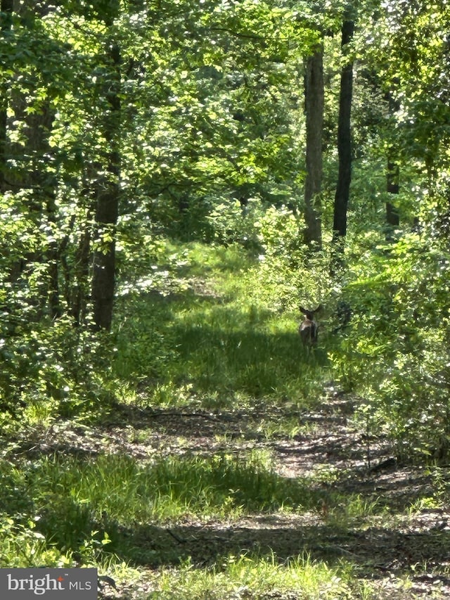Marblehead Rd, Ridgely, MD 21660