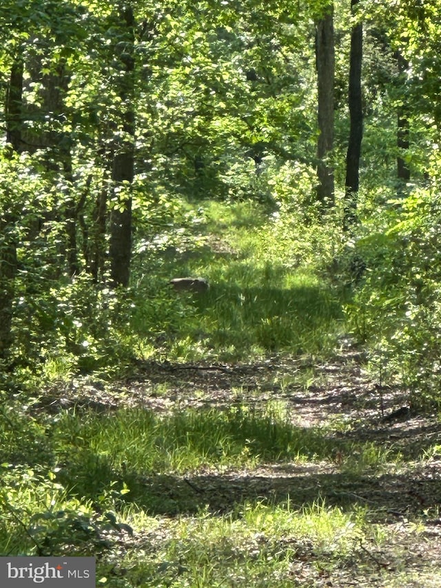 Marblehead Rd, Ridgely, MD 21660