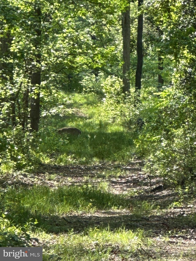 Marblehead Rd, Ridgely, MD 21660