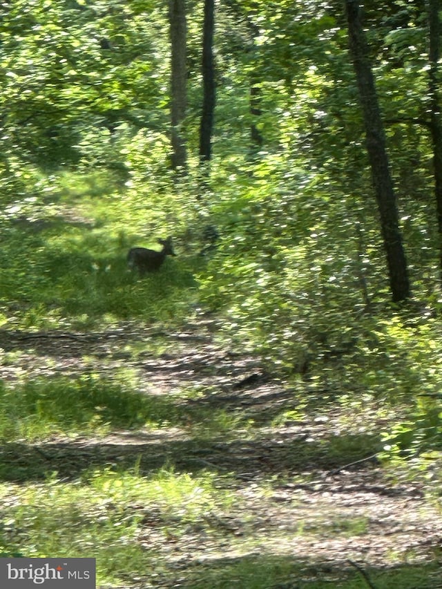 Marblehead Rd, Ridgely, MD 21660