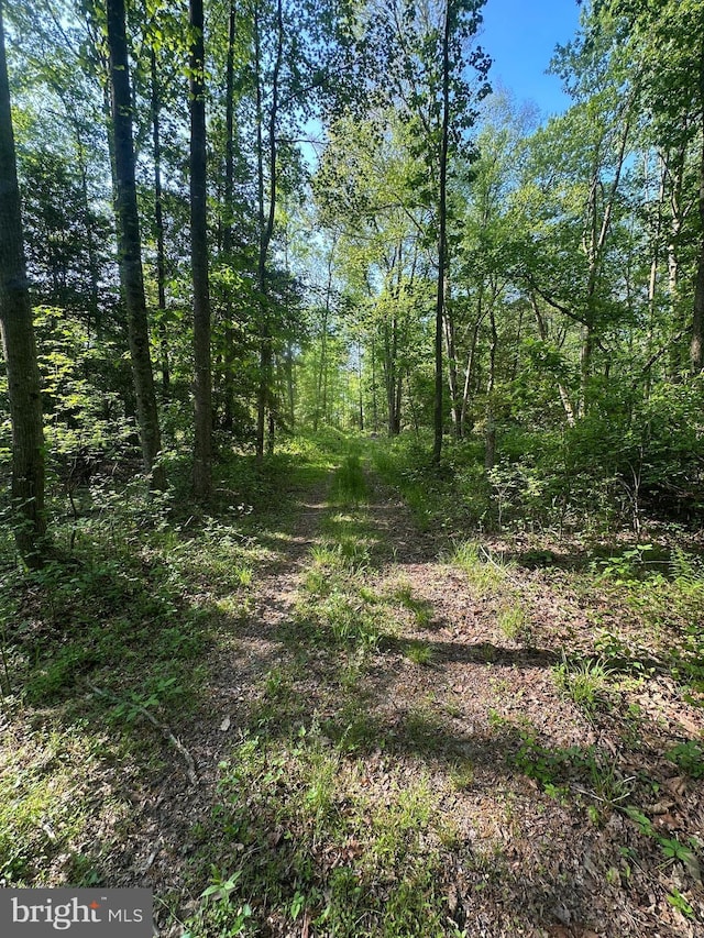 Marblehead Rd, Ridgely, MD 21660