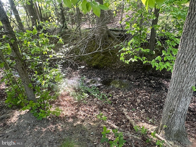 Marblehead Rd, Ridgely, MD 21660