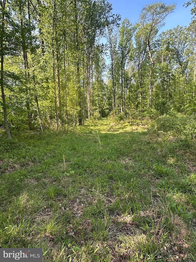 Marblehead Rd, Ridgely, MD 21660