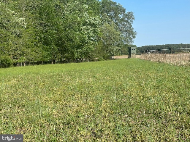 Marblehead Rd, Ridgely, MD 21660