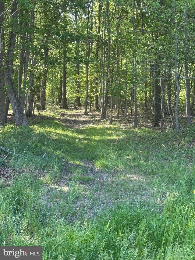 Marblehead Rd, Ridgely, MD 21660