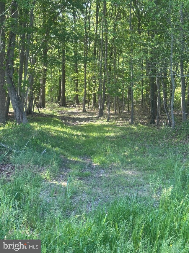 Marblehead Rd, Ridgely, MD 21660