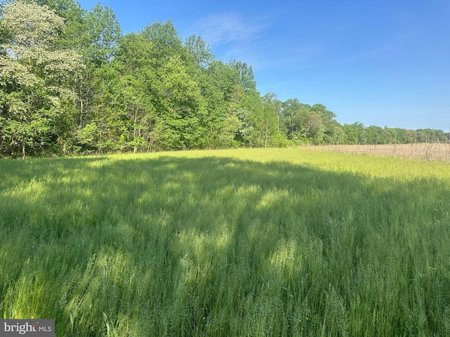 Marblehead Rd, Ridgely, MD 21660