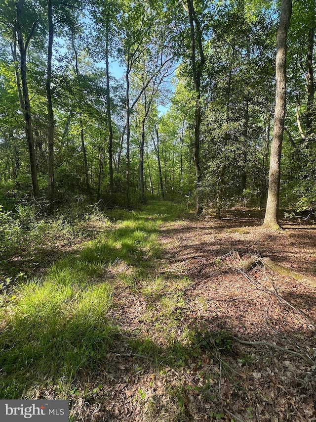 Marblehead Rd, Ridgely, MD 21660