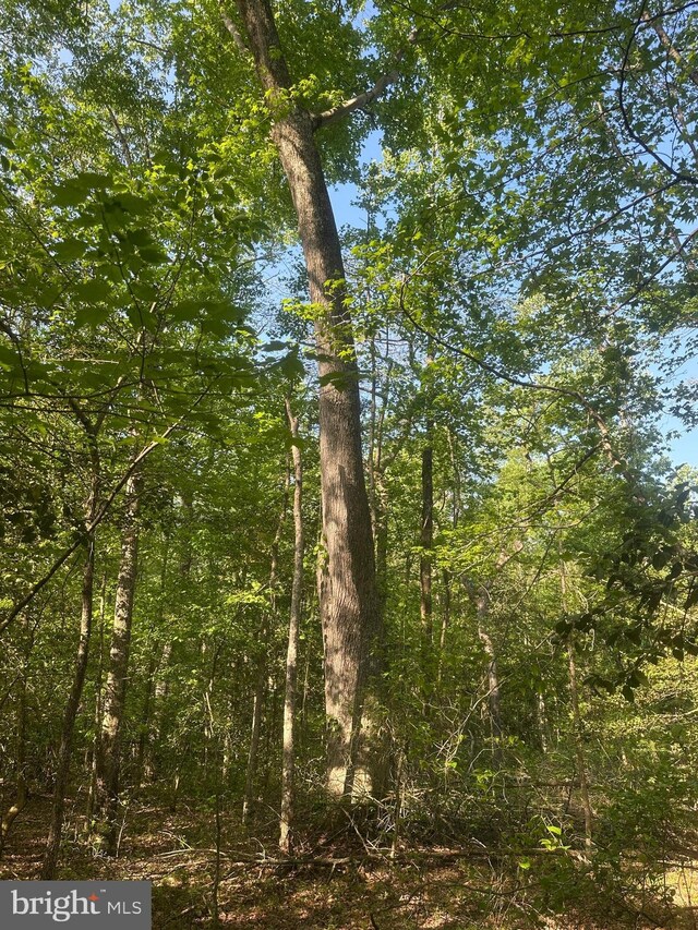 Marblehead Rd, Ridgely, MD 21660