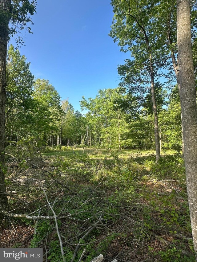 Marblehead Rd, Ridgely, MD 21660