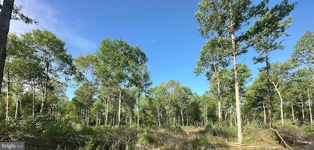 Marblehead Rd, Ridgely, MD 21660