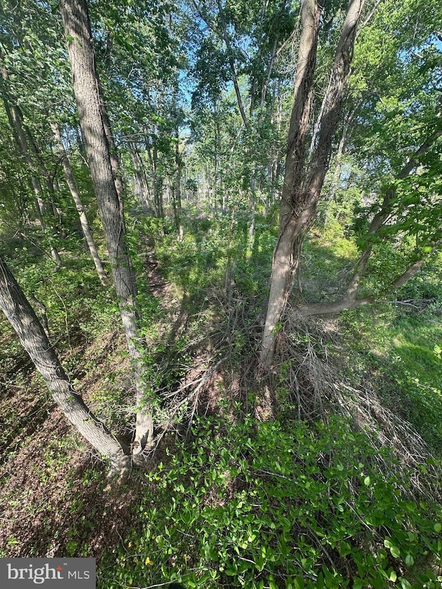 Marblehead Rd, Ridgely, MD 21660