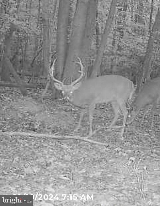 Marblehead Rd, Ridgely, MD 21660