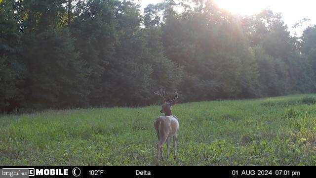 Marblehead Rd, Ridgely, MD 21660