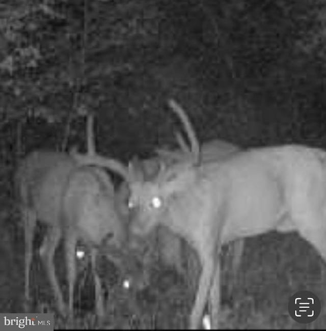 Marblehead Rd, Ridgely, MD 21660