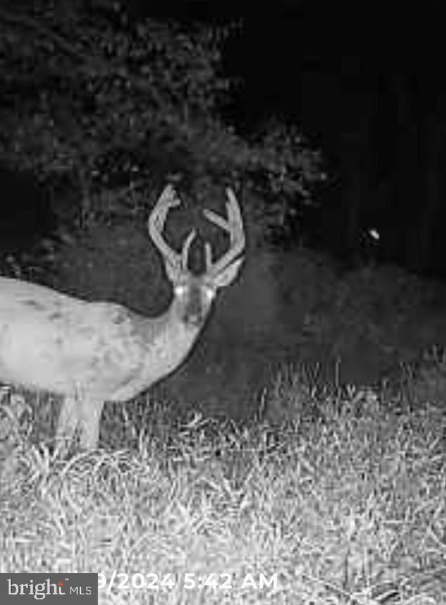 Marblehead Rd, Ridgely, MD 21660
