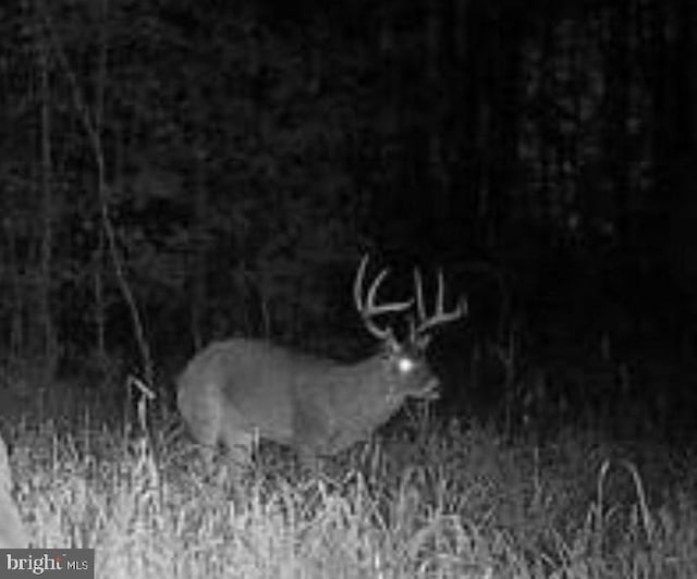 Marblehead Rd, Ridgely, MD 21660