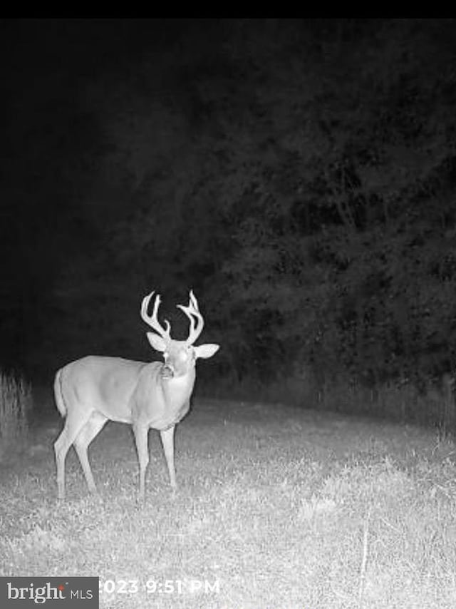 Marblehead Rd, Ridgely, MD 21660
