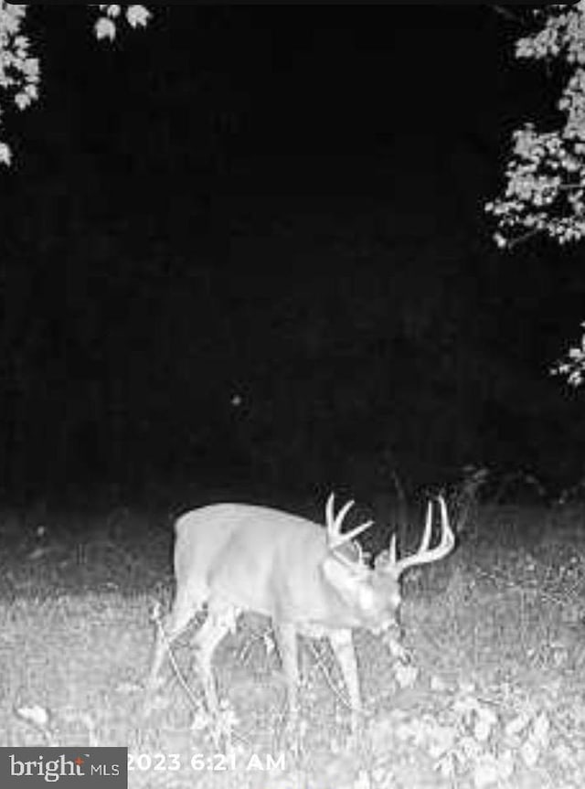 Marblehead Rd, Ridgely, MD 21660