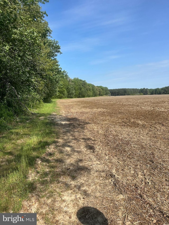 Marblehead Rd, Ridgely, MD 21660