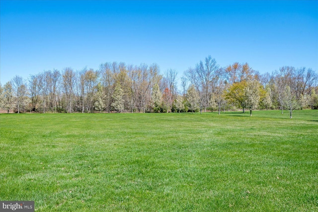 6 Ridgeview Way, Allentown, NJ 08501 - view of yard