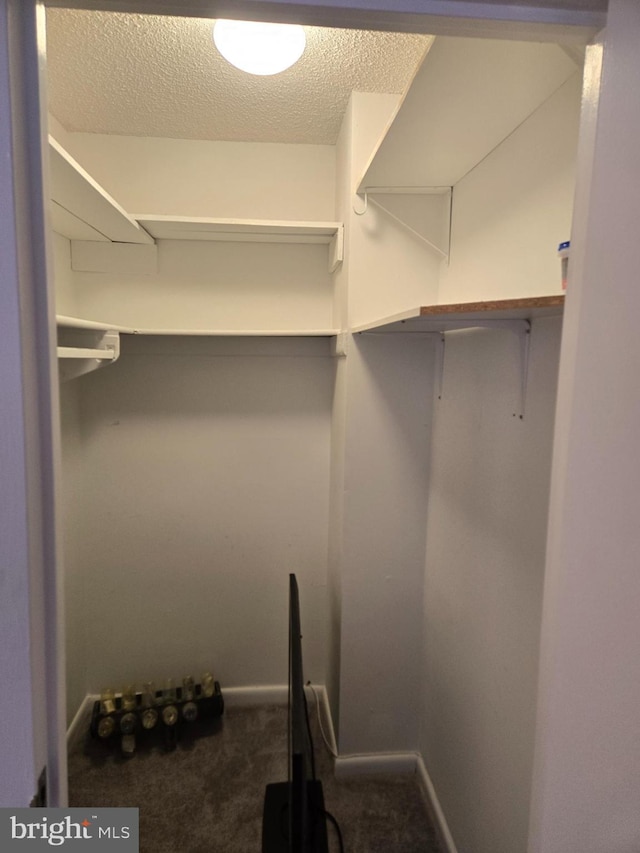 spacious closet with carpet flooring