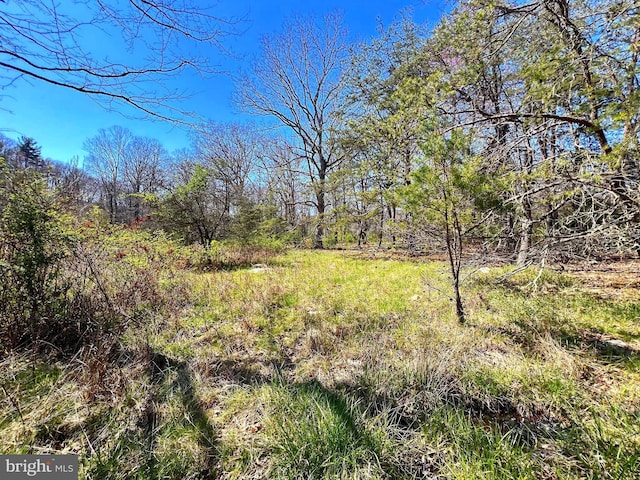 250 Lower Pine Grove Rd, Baker, WV 26801 - view of landscape