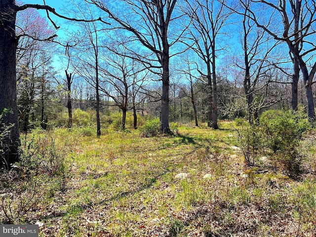 250 Lower Pine Grove Rd, Baker, WV 26801 - view of nature featuring a forest view