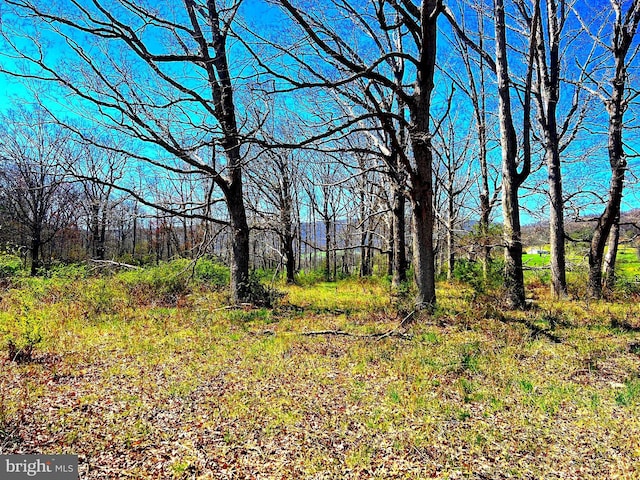 250 Lower Pine Grove Rd, Baker, WV 26801 - view of landscape