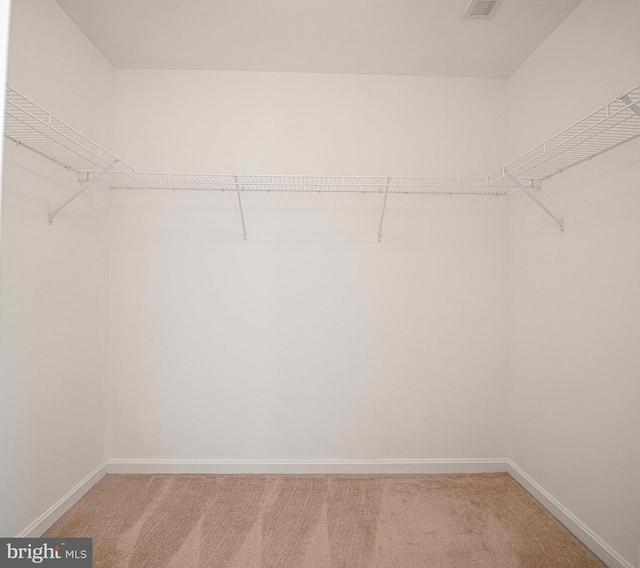 walk in closet with light carpet
