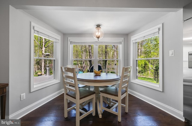 dining area with wood finished floors, a healthy amount of sunlight, and baseboards