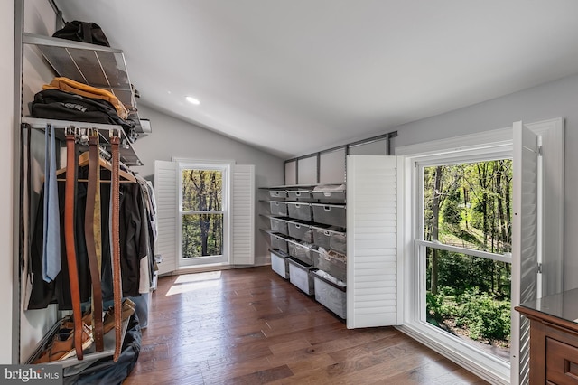spacious closet with lofted ceiling and dark wood-type flooring