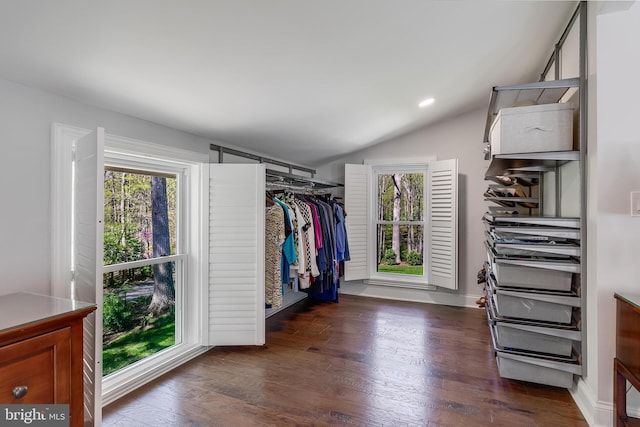 walk in closet featuring lofted ceiling and dark wood-type flooring