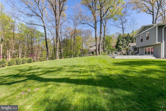 view of yard with a patio