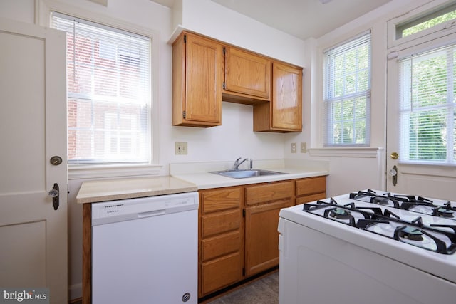 kitchen featuring light countertops, brown cabinets, a sink, and white appliances