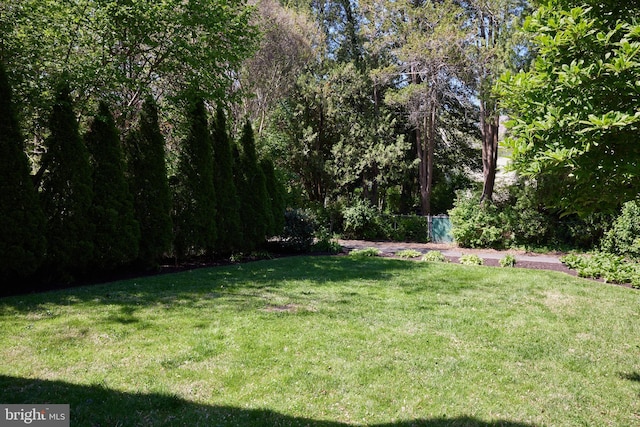 view of yard