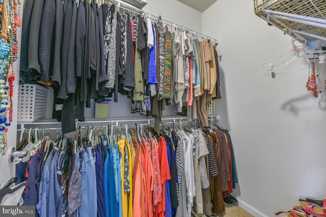 20600 Hope Spring Ter Unit 202, Ashburn, VA 20147 - view of spacious closet