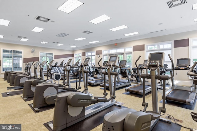20600 Hope Spring Ter Unit 202, Ashburn, VA 20147 - workout area featuring light carpet, visible vents, and crown molding