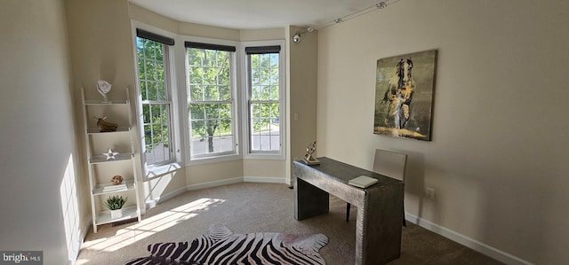 home office featuring carpet floors and baseboards